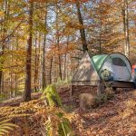 Le bivouac dans les Vosges du Nord : s'informer avant de s'installer ! Parc naturel régional des Vosges du Nord